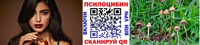 Купить  Михайловка  Галлюциногенные грибы Psilocybine cubensis 